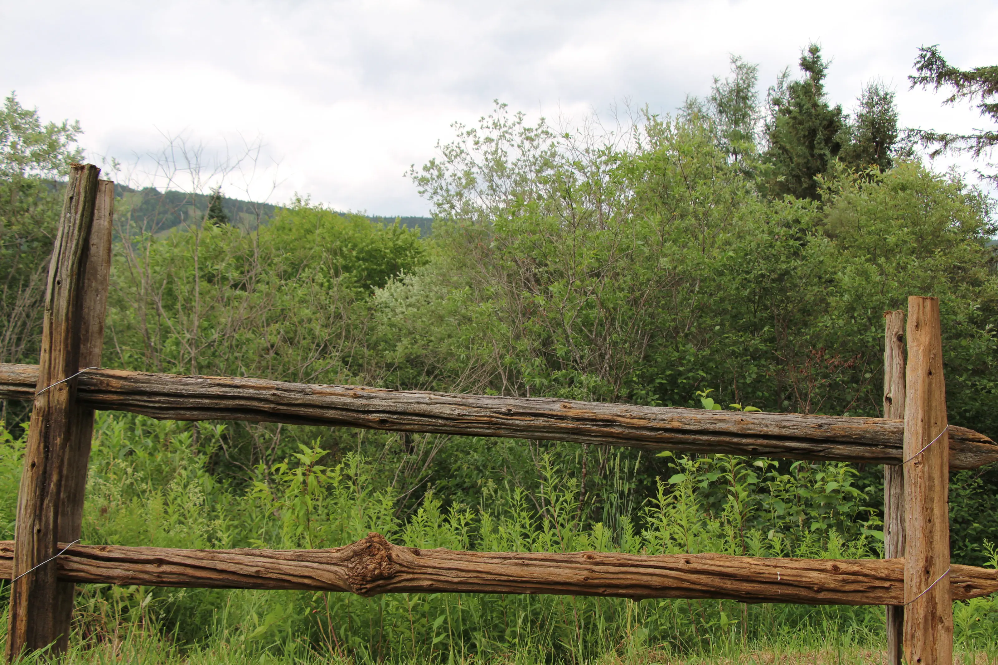 Une clôture de perches de cèdre devant la forêt et la montagne de Charlevoix